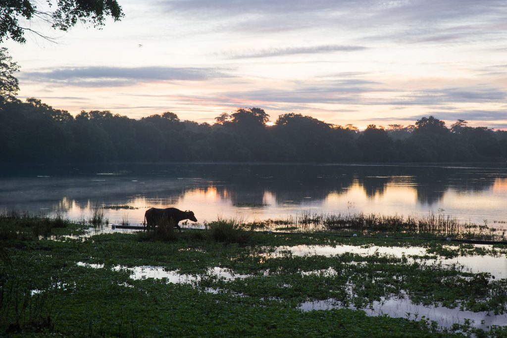 Polonnaruwa Sri Lanka