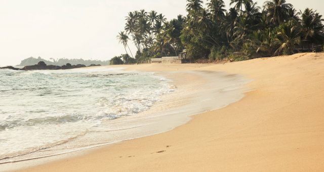 Unawatuna en Sri Lanka. Tortugas gigantes, primer contacto.