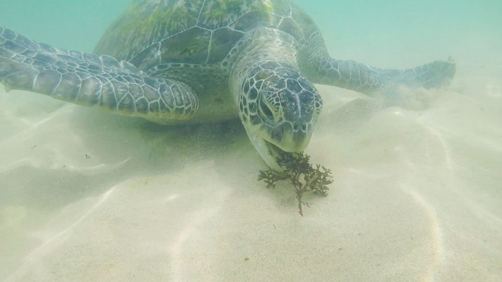 Unawatuna en Sri Lanka