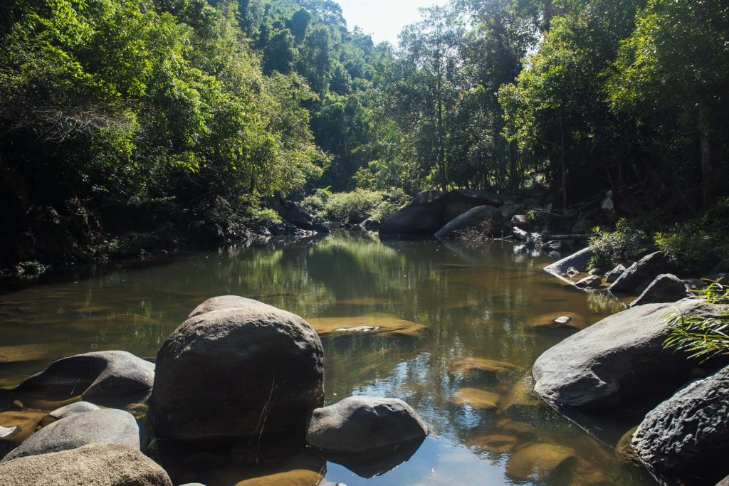 Que hacer en Khao Sok