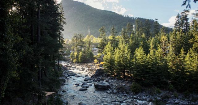 Qué hacer en Manali. Nuestra ciudad favorita de la India