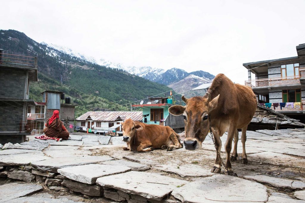 Que ver en Manali