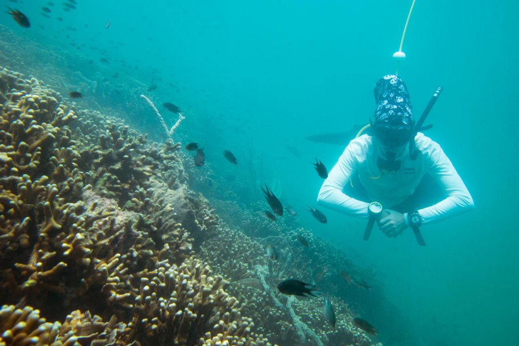 Bucear en Kota Kinabalu