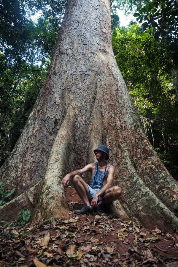 Que ver y hacer en el parque nacional de Khao Sok