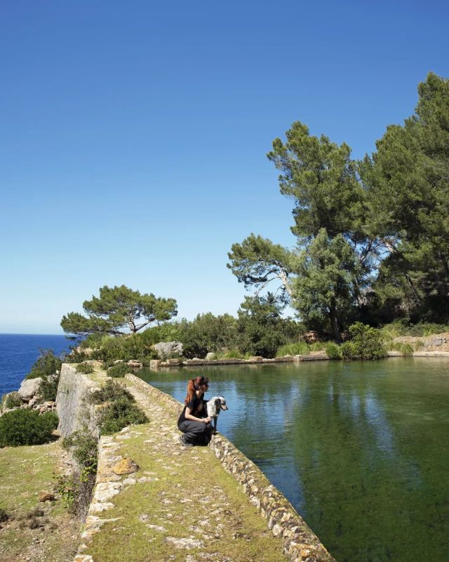 Paradise

📷@shantishantimyfriend 

#mallorcaisland #tramuntana #sacostera #entierrayagua