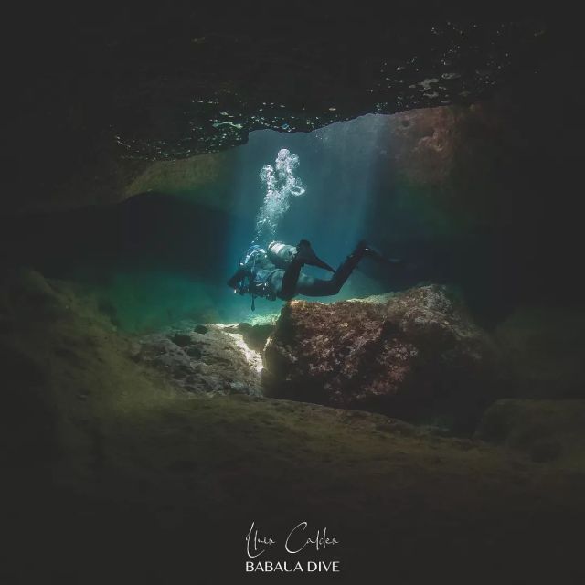 Mallorca underwater

Photo by @babauadive