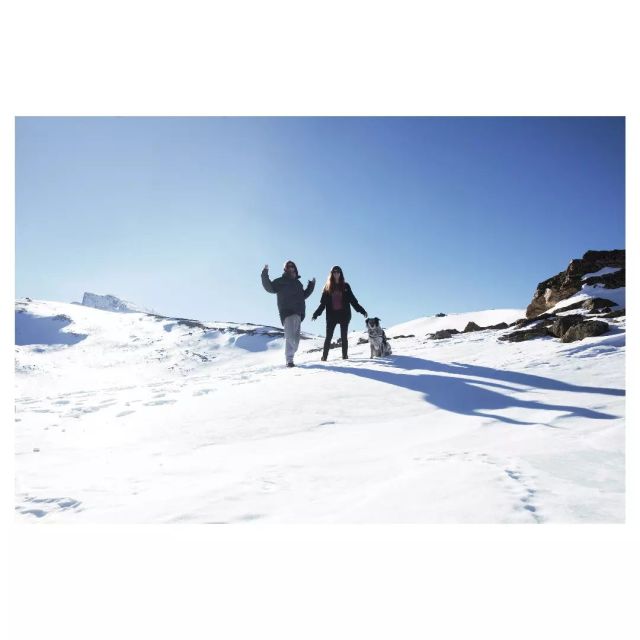 Andalucía 2022

#andalucia #sierranevada #sierracazorla #entierrayagua #roadtripespaña
