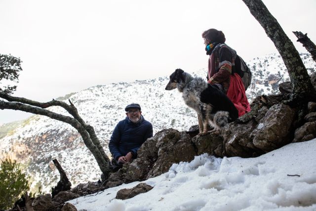 Subiendo el Teix

#puigdesteix #valldemossa #neu #islademallorca